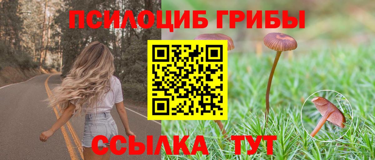 Псилоцибиновые грибы MAGIC MUSHROOMS  Галлюциногенные грибы мухоморы  Вход с VPN  Новоуральск 